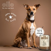 Comida húmeda para perros OLLO Pure Deer, 850 g