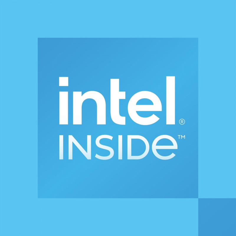 Procesador Intel 300 para ordenador de sobremesa, 3,9 GHz, 2 núcleos, 4 hilos, 6 MB de caché, FCLGA1700, OEM (CM8071505091904)