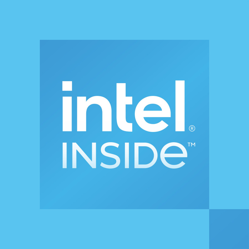 Procesador Intel 300 para ordenador de sobremesa, 3,9 GHz, 2 núcleos, 4 hilos, 6 MB de caché, FCLGA1700, OEM (CM8071505091904)