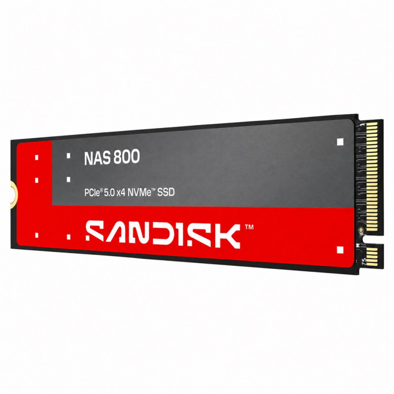 SanDisk NAS 800 1.92 TB M.2 2280 NVMe Gen 5 SSD interno (SDSNP2192TAN-000E0)