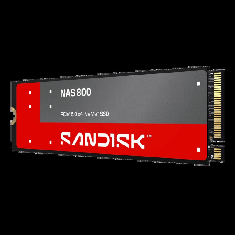 SanDisk NAS 800 960 GB M.2 2280 NVMe Gen 5 SSD interno (SDSNP2960GAN-000E0)