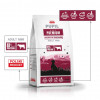 PUPIL Premium Mini rico en ternera alimento seco para perros, 10 kg