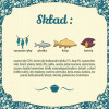 FOLK Comida delicada para cachorros con pescado de agua dulce Mini pienso para perros, 10 kg