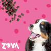 ZOYA ColdPRO Beef alimento seco para perros, 1 kg