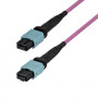 StarTech.com OM4MTP12BOFNP2M Cable de conexión de fibra multimodo MTP/MPO-12 (2 m)