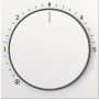 Tapa Gira 270227, System 55, blanco puro, mate satinado