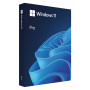 Microsoft Windows 11 Pro BOX, 64 bits, polaco, unidad flash USB (HAV-00209)