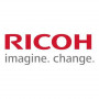 Ricoh D0BN2243 Revelador amarillo