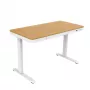 Escritorio de altura regulable eléctrico ACJ ACTIVEJET 120x60 ET119S blanco/roble