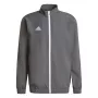 adidas Entrada 22 Chaqueta de presentación Team Grey Four/Negro S