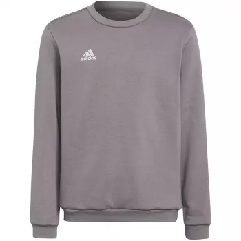 adidas Entrada 22 Sudadera Gris joven 128cm