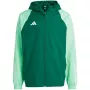Chaqueta adidas Tiro 23 Competition All Weather para hombre verde IC4570