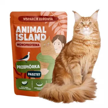 ANIMAL ISLAND Mono Quail Comida húmeda para gatos 100g
