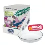 ANIMAL ISLAND NEW JELLY EVERYDAY 12x85g + Comedero