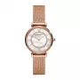 Armani Reloj de mujer AR11320 32mm Pulsera de acero inoxidable Mesh Cuarzo