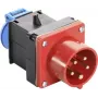 AS SCHWABE Cable adaptador CEE a Schuko 400V 16A, 5 polos a 2 polos, 0,3m, IP44, negro 60495