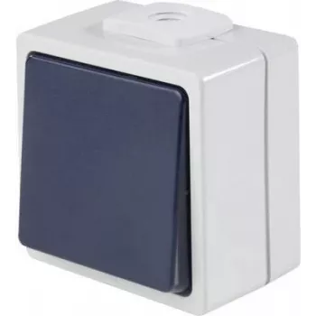 AS SCHWABE 62452 pulsador de superficie, IP54, gris, 250V/10A, 1NO