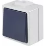 AS SCHWABE 62452 pulsador de superficie, IP54, gris, 250V/10A, 1NO