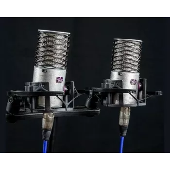 Aston Microphones Origin pareja estéreo de condensador