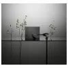 ASUS Zenbook S14 OLED UX5406AA-SU235W - 14