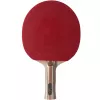 Atemi 3000 Pro raqueta de tenis de mesa cóncava
