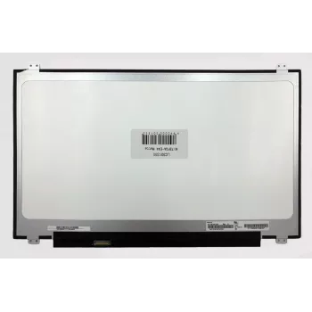 AUO Pantalla para portátil 17,3
