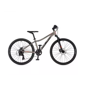 Author A-Matrix 24D bicicleta infantil de 24 pulgadas, Titanium Matte/Black Matte, 2026