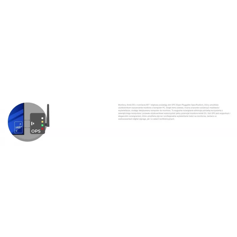 Avtek DS2 55 Monitor informativo 4K UHD 55