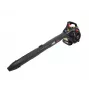 AWTOOLS Soplador aspirador triturador de hojas 3 en 1 0,75 kW 1 PS 450 ml LBV340