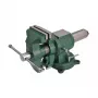 AWTOOLS AW24295 tornillo de banco 100mm (4 pulgadas) giratorio hierro fundido alta resistencia