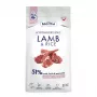 BALTICA NUTRACEUTIC Pienso seco hipoalergénico de cordero y arroz para perros de razas extra pequeñas y pequeñas, 3 kg
