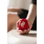 Beautifly Rose Glow Pleaser vibrador rojo self love