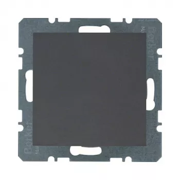 Berker 1009 16 06 tapa ciega ANT B.1/B.3 con pieza central