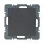 Berker 1009 16 06 tapa ciega ANT B.1/B.3 con pieza central