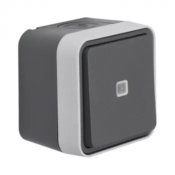 Berker 30763525 W.1 Conmutador de superficie con iluminación, gris