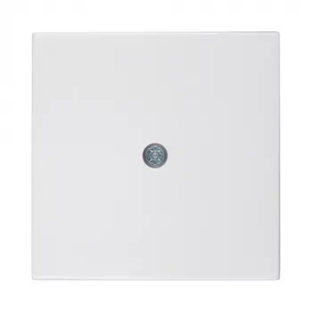 Berker Placa central para salida de cable, blanco polar (55x55mm, IP20, empotrado) - 10198989