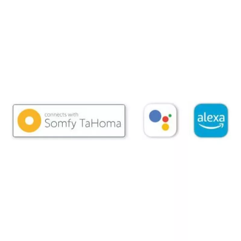 BFT B-EBA módulo de conectividad Wi-Fi EVO con antena (Bluetooth/easyAXS/TaHoma)