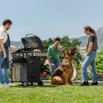 Black+Decker BXOG12950E parrilla de gas, 3 quemadores
