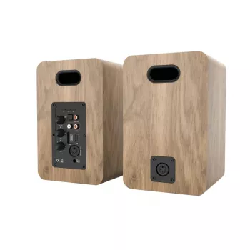 Blaupunkt BS50OK altavoces de suelo de 2 vías 50W RMS marrón
