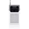 Blaupunkt PR4WH radio portátil AM/FM gris