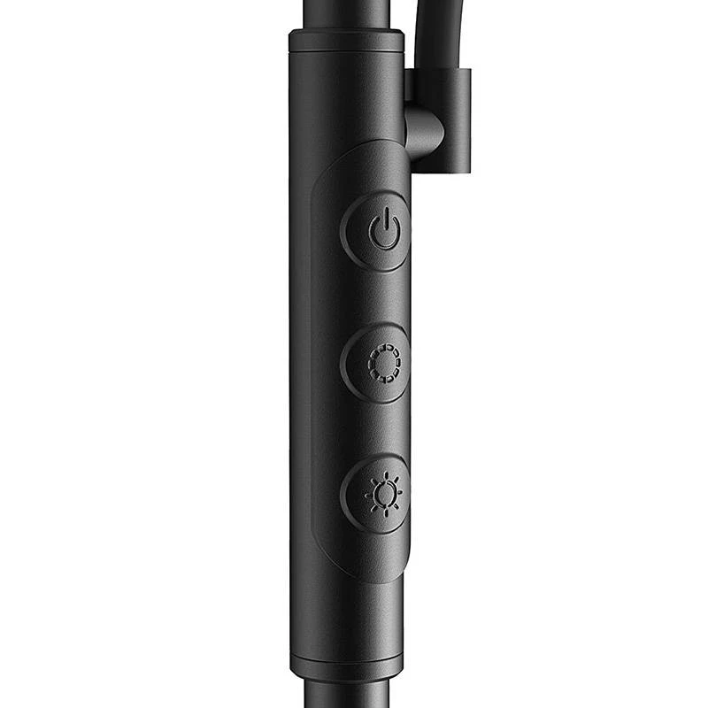 BLITZWOLF Lámpara de pie doble con mando a distancia BlitzWill BWL-FL-0001, 36W (negro)