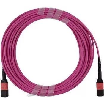 BlueOptics Infortrend 9370FC40GCAB1-0030 Cable de conexión MPO-MPO Multimodo OM4 2 metros