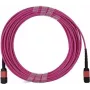 BlueOptics Infortrend 9370FC40GCAB1-0030 Cable de conexión MPO-MPO Multimodo OM4 2 metros