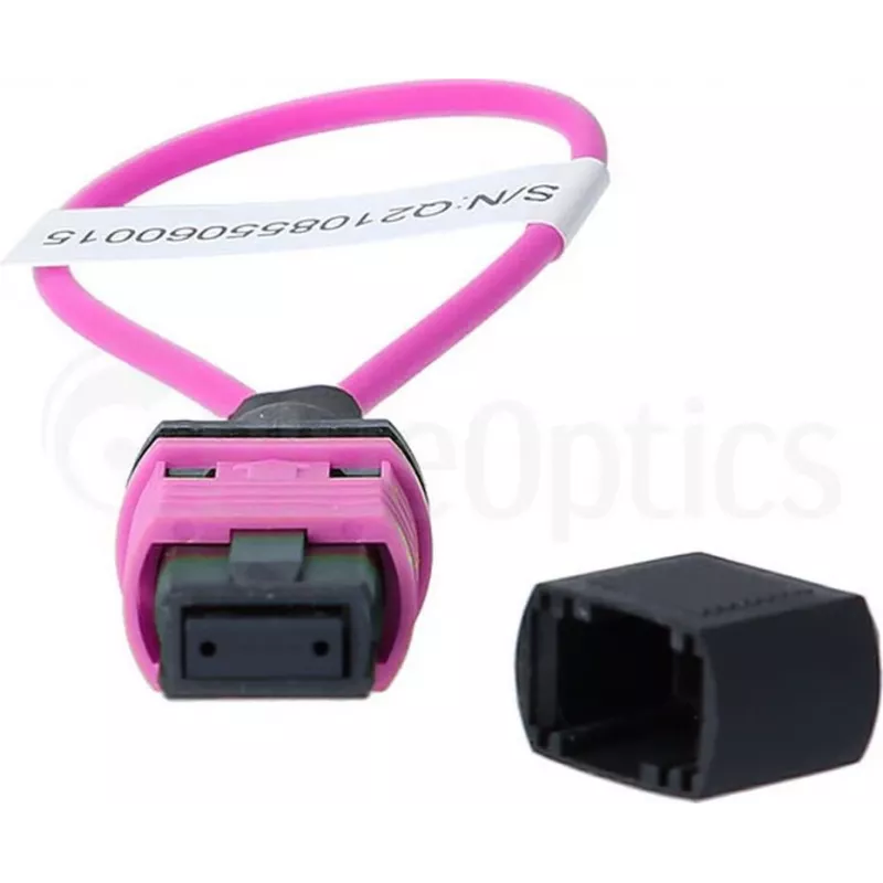 BlueOptics Adaptador loopback MPO/MTP Multimodo OM4