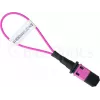BlueOptics Adaptador loopback MPO/MTP Multimodo OM4