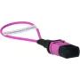 BlueOptics Adaptador loopback MPO/MTP Multimodo OM4