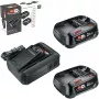Bosch 18V Starter Set 2 x 2,5 Ah baterías + cargador AL 18V-44 (1600A031T5)