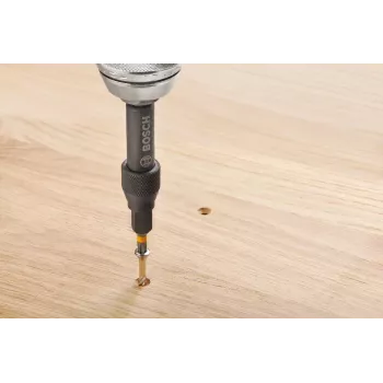Juego de 20 puntas de destornillador Bosch 2607002786 con portapuntas universal magnético, puntas S2 de 25 mm para Phillips, Pozidriv, ranurada, Torx, Hex