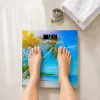 Brock BS 001 báscula de baño, 2 pilas AAA incluidas en el envío