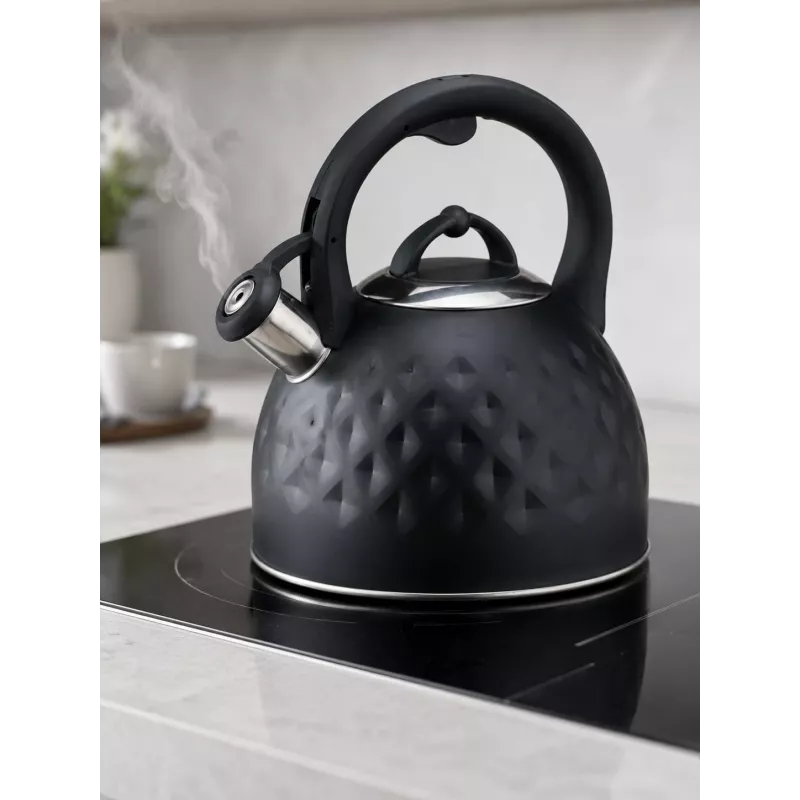 Brock MWK 002 BK La Cuisinette Hervidor 2,7L negro/acero inoxidable